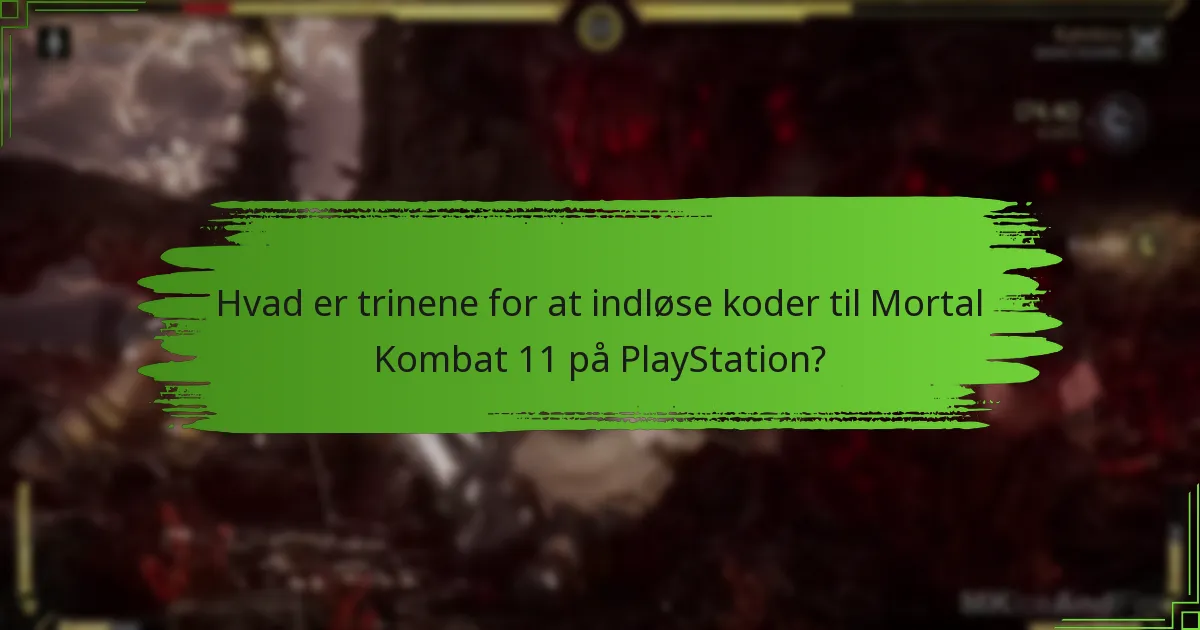Hvilke typer koder kan indløses til Mortal Kombat 11?